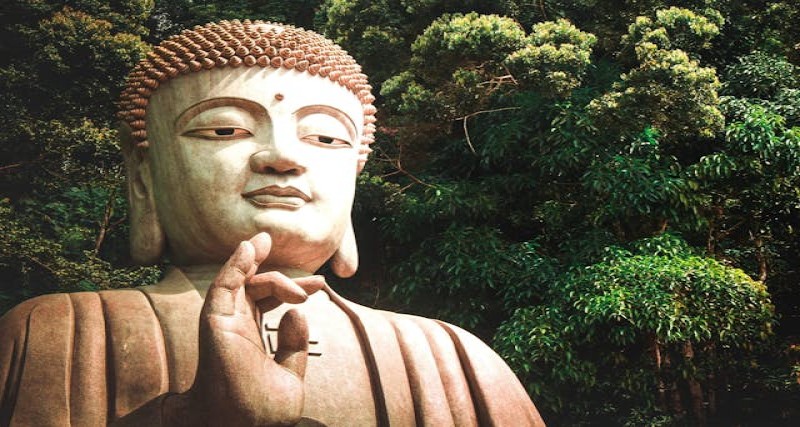 The Power of the Future: A Psychiatrist’s Reflections on Healing Beyond the Present Moment