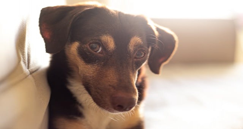 Criticism of Psychiatry