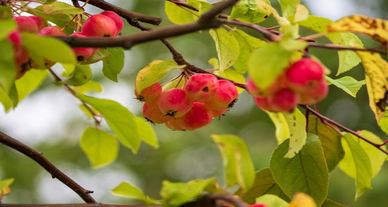 Unity of Vision, Diversity of Minds