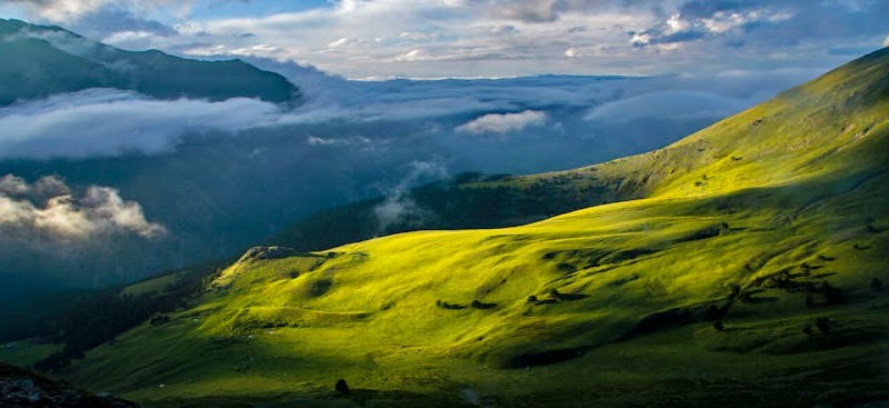 Essay on the 35th year